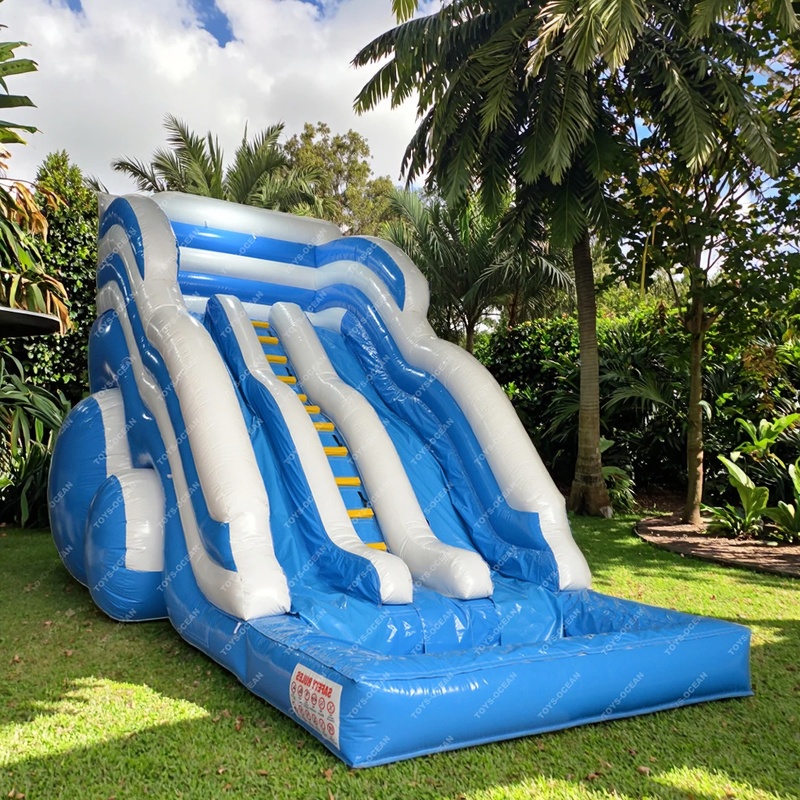 Factory Customized Cheap Kids  - Kids Outdoor Inflatable Water Slide recension och pris