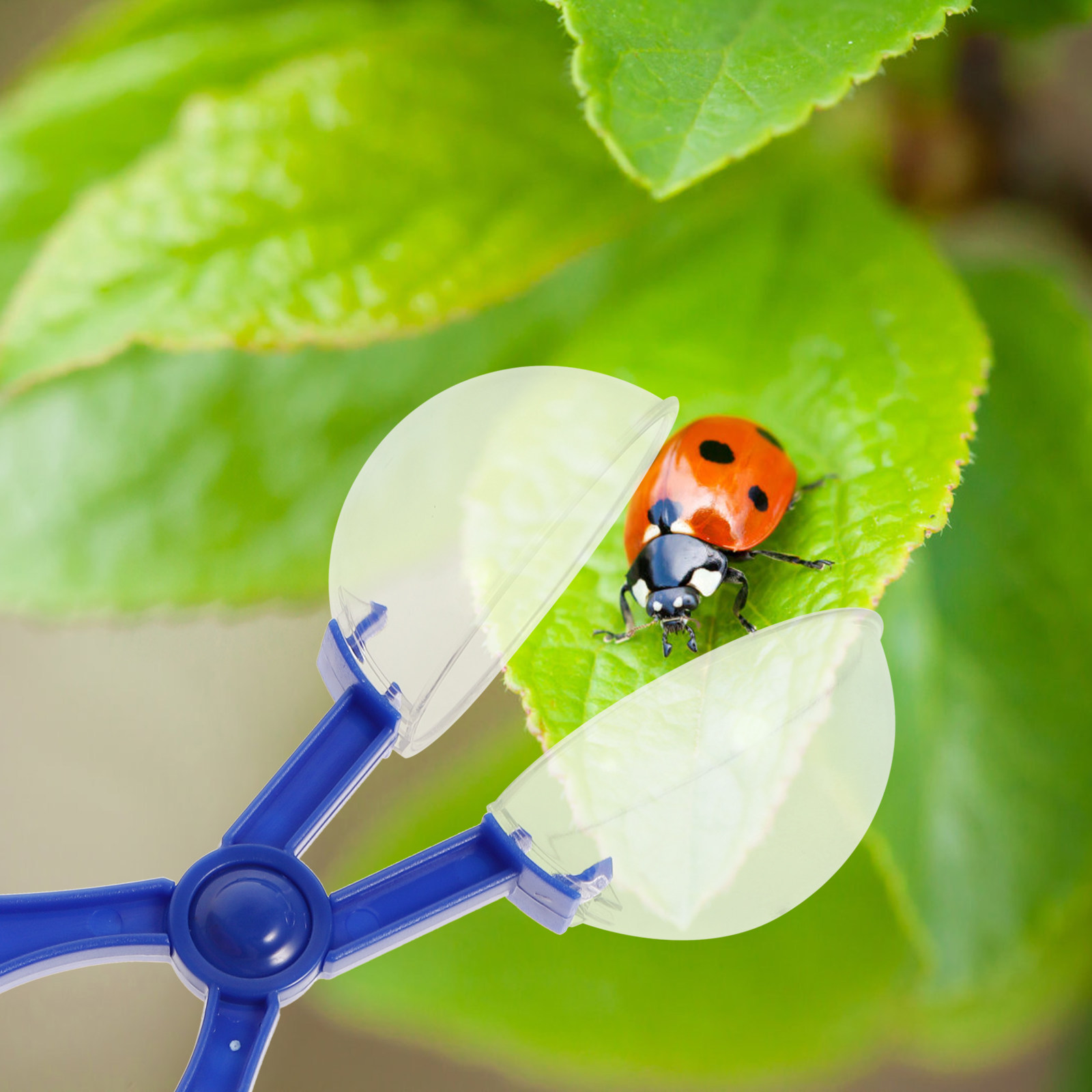 8Pcs Insect Catcher Scissors K - Kids Outdoor Tools recension och pris