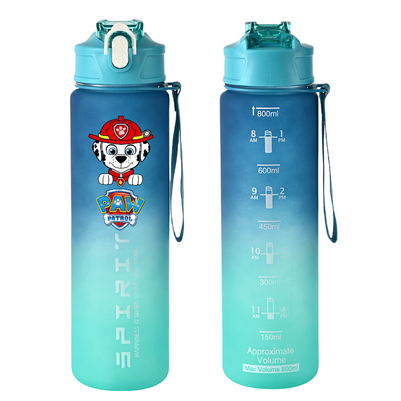 800ml PAW Patrol Sports Water  - Kids Outdoor Gym recension och pris