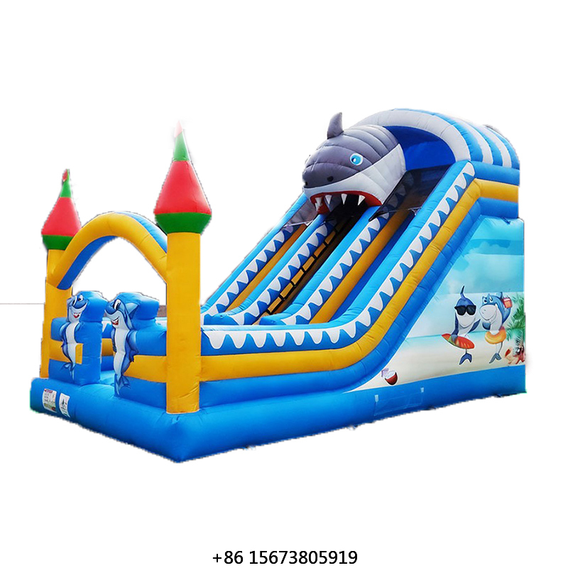 Rentable Small Inflatable Slid - Kids Outdoor Playground recension och pris