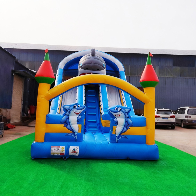 Rentable Small Inflatable Slid - Kids Outdoor Playground recension och pris